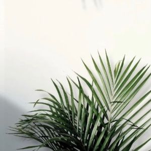 Meet your Posher, Michaela